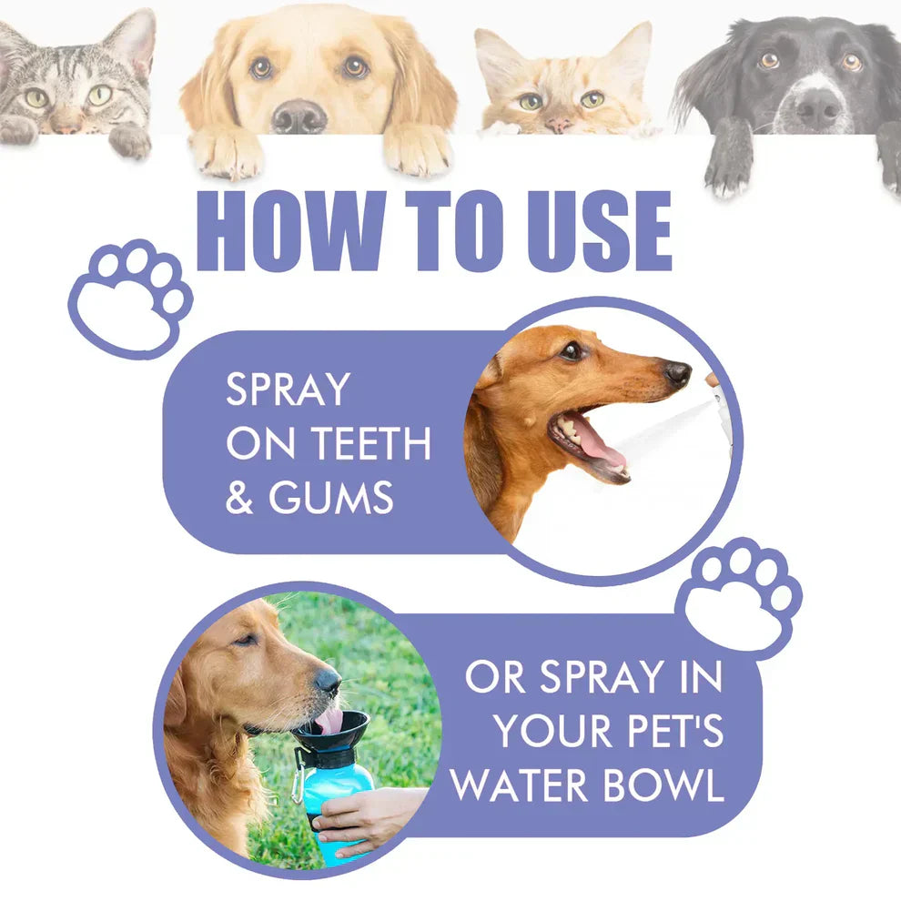NuvoPaw™ 🍃Say Goodbye to Bad Breath & Plaque — Without Brushing