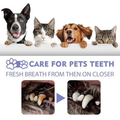 NuvoPaw™ 🍃Say Goodbye to Bad Breath & Plaque — Without Brushing
