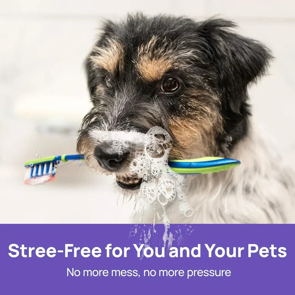 NuvoPaw™ 🍃Say Goodbye to Bad Breath & Plaque — Without Brushing